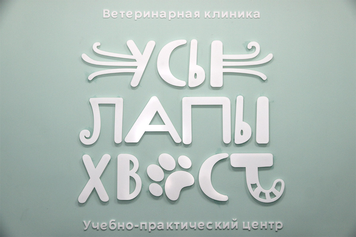 Спасать и помогать: открылась обновленная ветеринарная клиника «Усы, лапы,  хвост»