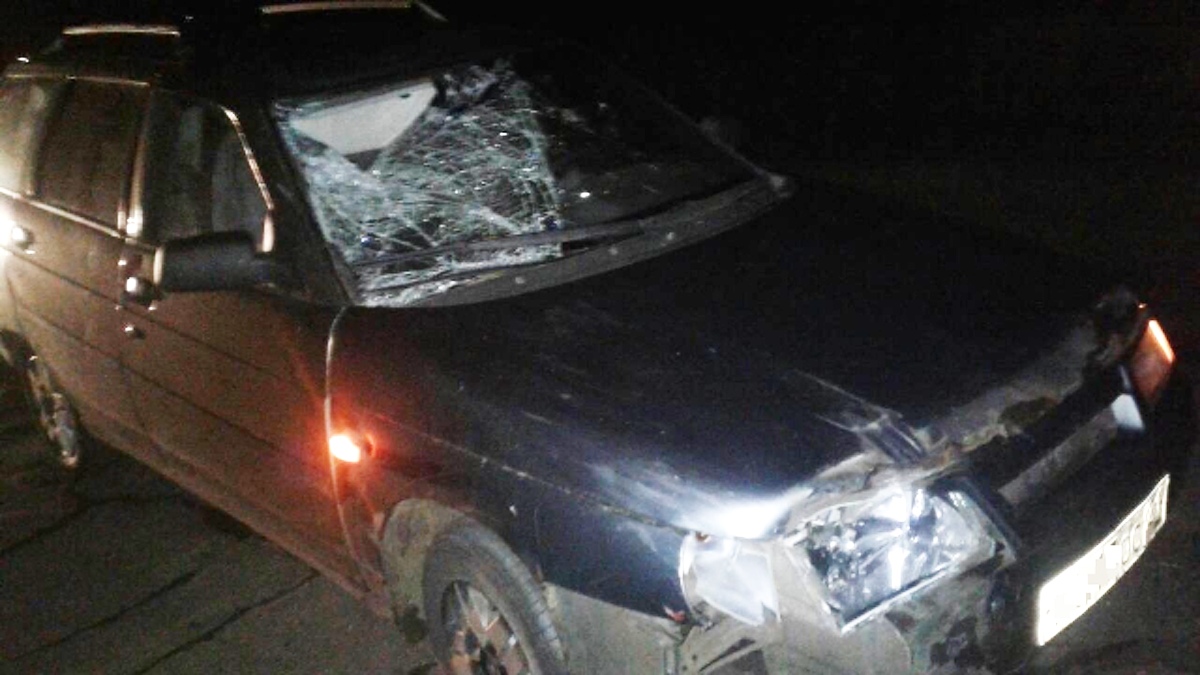 Автошколы в чебоксары Автошколы в чебоксары